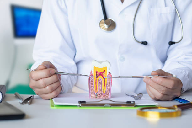 Best Pediatric Emergency Dentist in Uvalde, TX